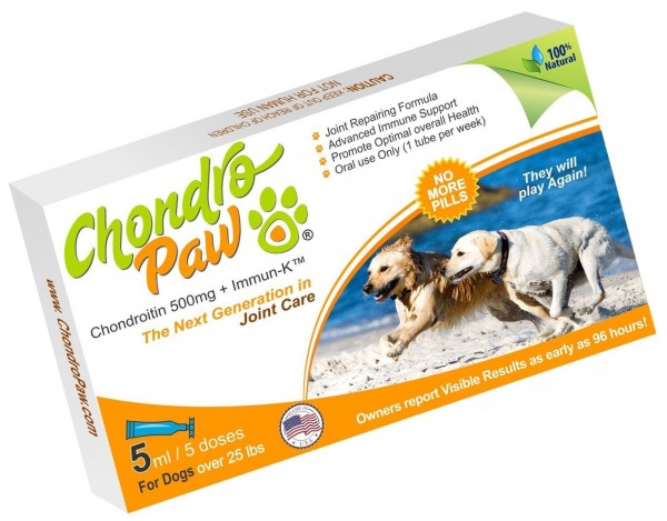 Why ChondroPaw Joint Health for Dogs is Superior to Other Supplements