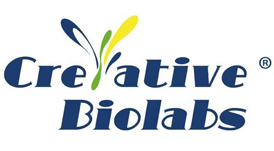 Creative Biolabs Stays Ahead to Invoke mRNA Discovery